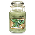 Yankee Candle® Sage & Citrus Scented Candles